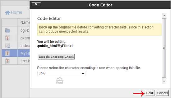 Edit file in the cPanel File Manager-websiteroof