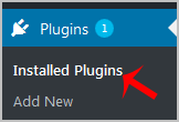 Delete a Plugin in WordPress