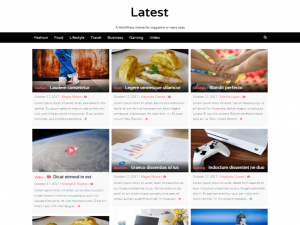 Latest WordPress theme-websiteroof