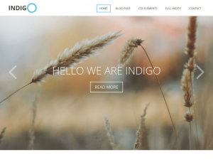 indigo WordPress theme-websiteroof